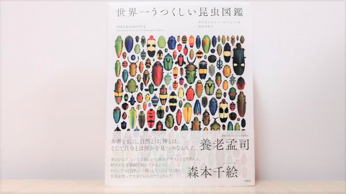 まるで宝石！ アート作品としても楽しめる昆虫図鑑 | 子どもの未来を