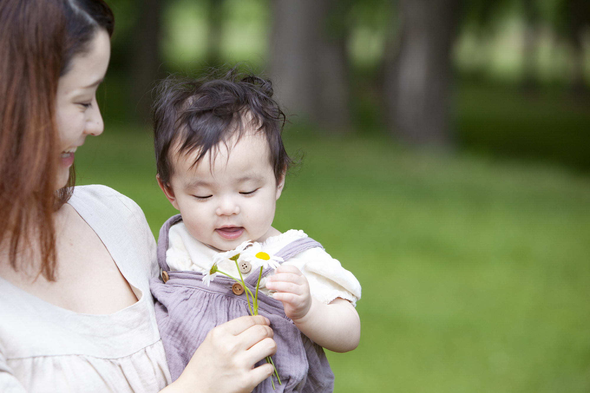 お散歩でのお花摘みが子どもの好奇心を伸ばす 幼児あるあるへの対処法も 子どもの未来を考える子育てサイト 未来へいこーよ
